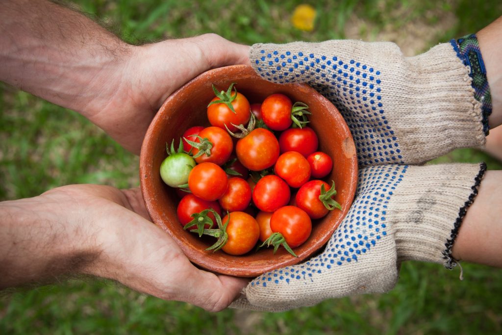 Clube Agro e MAPFRE promovem debate sobre a importância do Seguro Rural / Foto: Elaine Casap / Unsplash Images